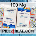 100Mg kamagra1